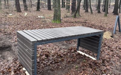 Zaczerpnąć leśnej energii. Jak wspólnie stworzyliśmy las społeczny w&nbsp;Starych Jabłonkach