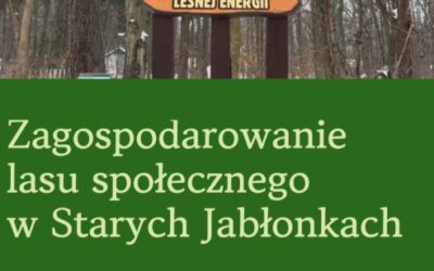 Raport z&nbsp;konsultacji społecznych 2025